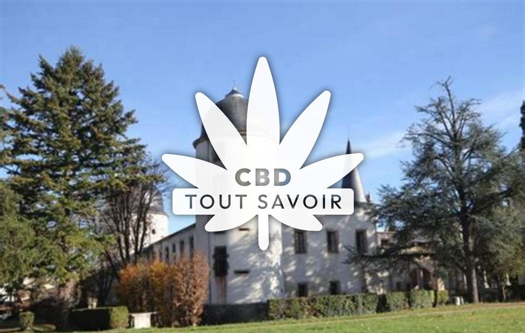 Village à Saint-Cirgues-sur-Couze avec feuille Cannabis CBD