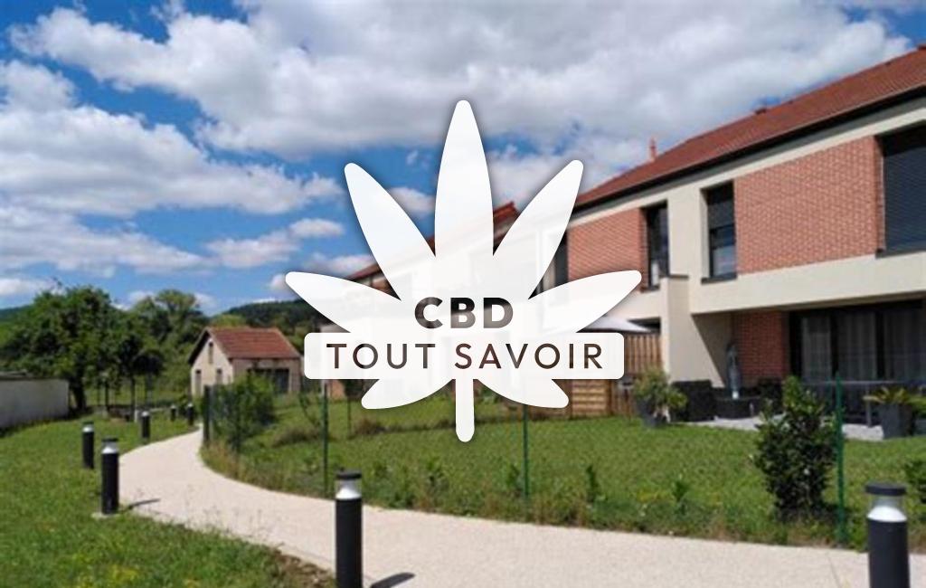 Village à Charbonnier-les-Mines avec feuille Cannabis CBD