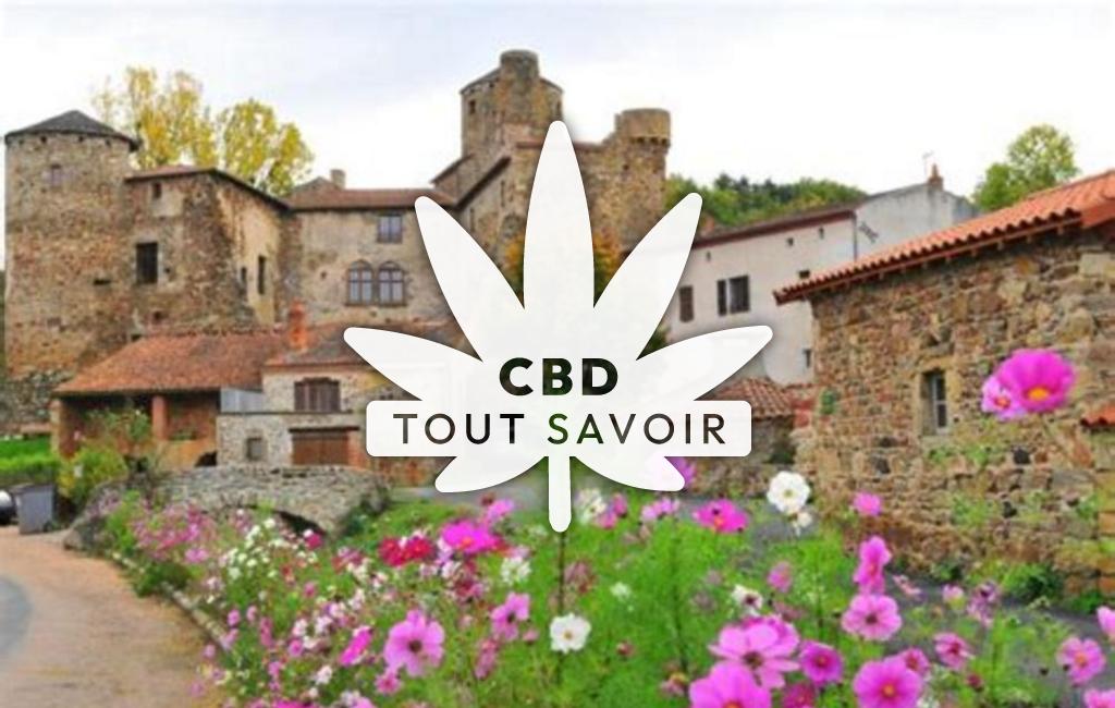 Village à Saint-Gervazy avec feuille Cannabis CBD