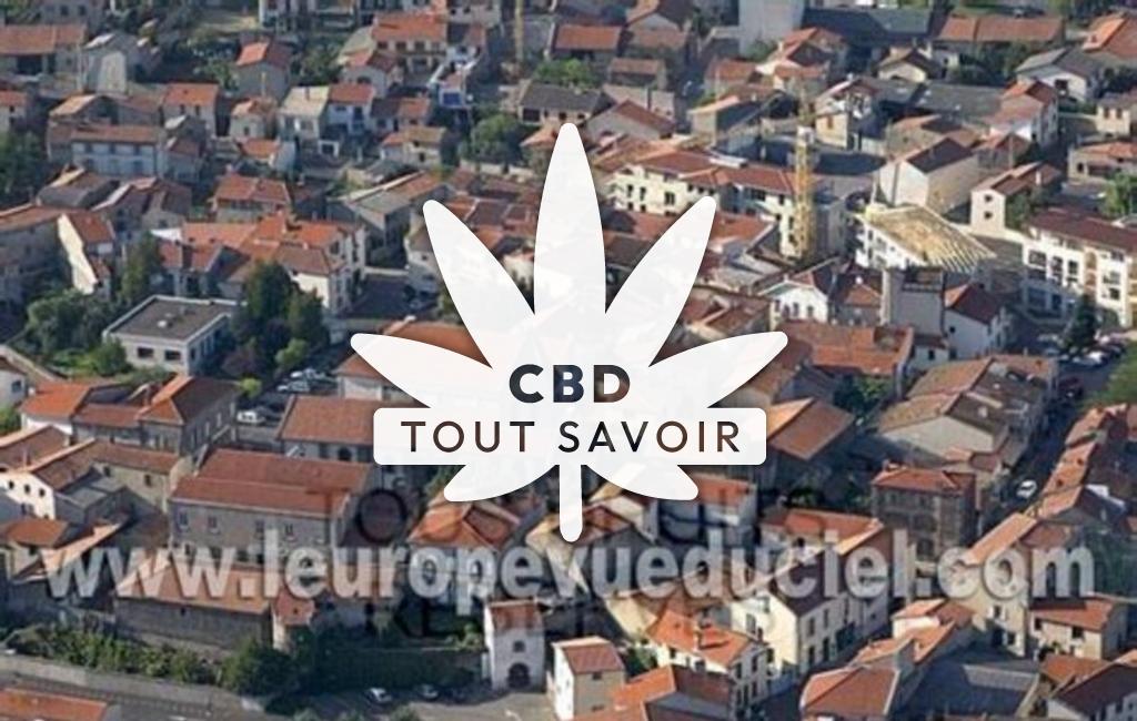 Village à Gerzat avec feuille Cannabis CBD