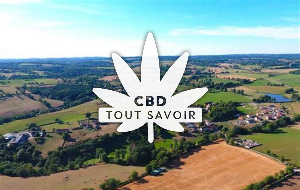 Village à Landogne avec feuille Cannabis CBD