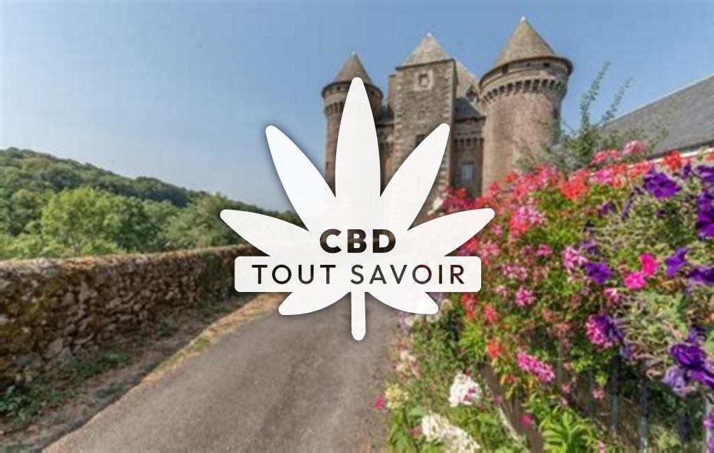 Village à Saint-Etienne-des-Champs avec feuille Cannabis CBD