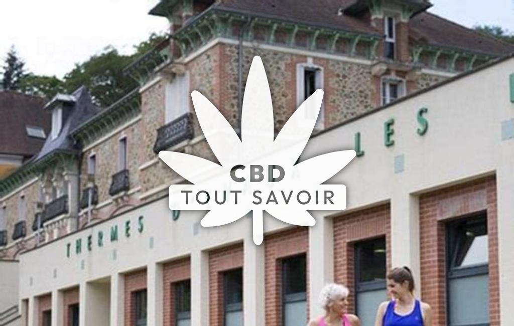 Village à Chateauneuf-les-Bains avec feuille Cannabis CBD