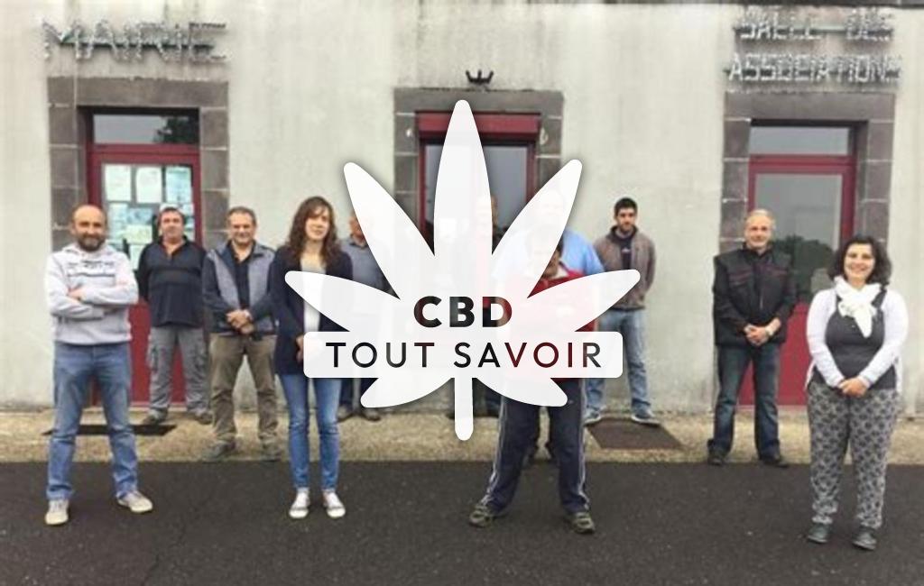 Village à Puy-Saint-Gulmier avec feuille Cannabis CBD