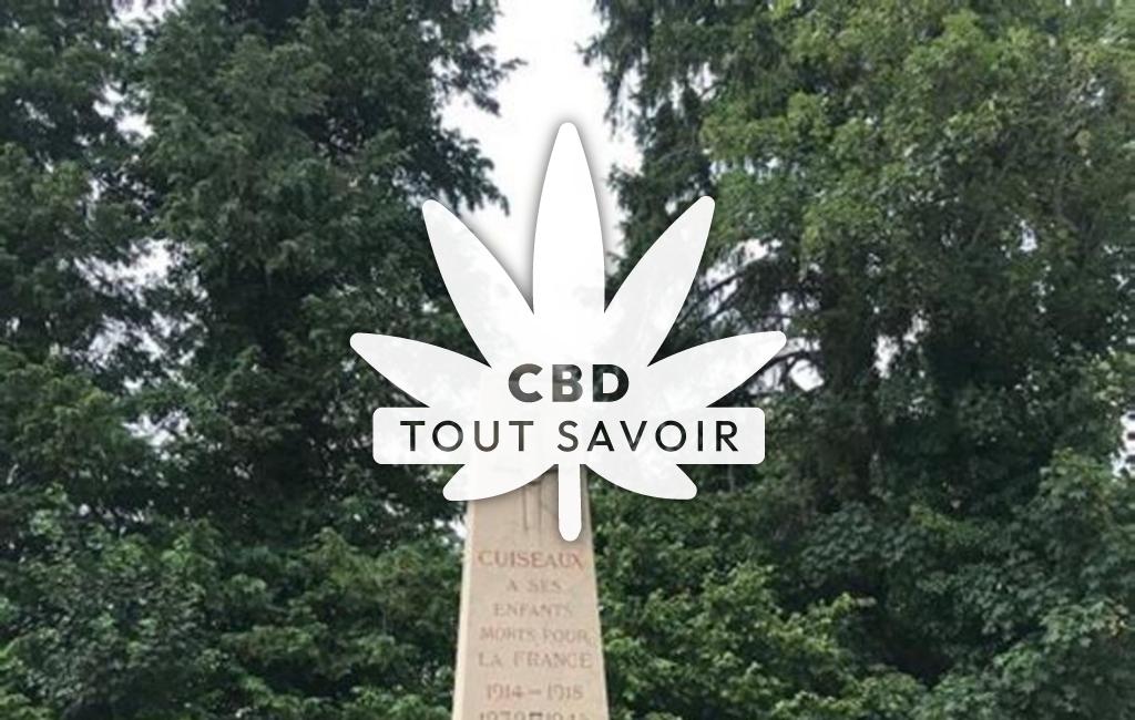 Village à Solignat avec feuille Cannabis CBD