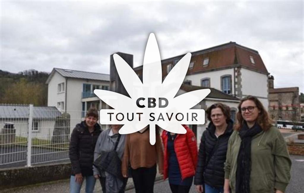 Village à Saint-Dier-D'Auvergne avec feuille Cannabis CBD