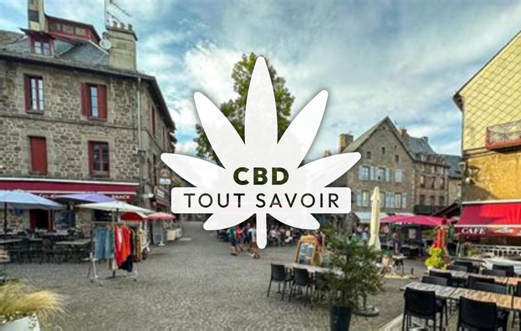 Village à Besse-Et-Saint-Anastaise avec feuille Cannabis CBD