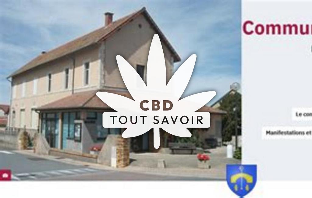 Village à Ars-les-Favets avec feuille Cannabis CBD