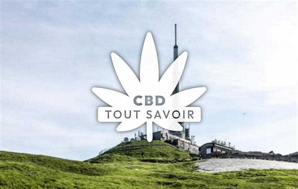 Village à Surat avec feuille Cannabis CBD
