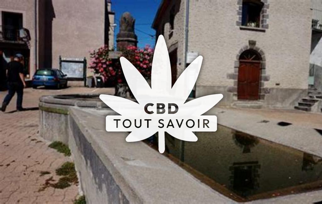 Village à Saulzet-le-Froid avec feuille Cannabis CBD