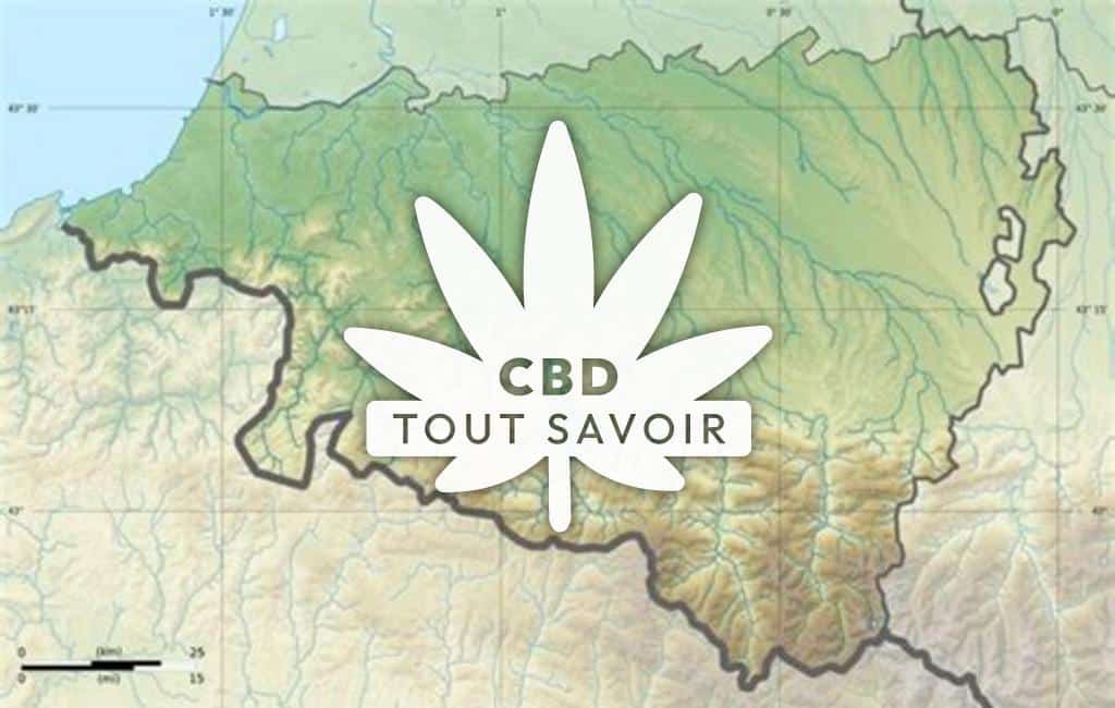 Village à Aicirits-Camou-Suhast avec feuille Cannabis CBD