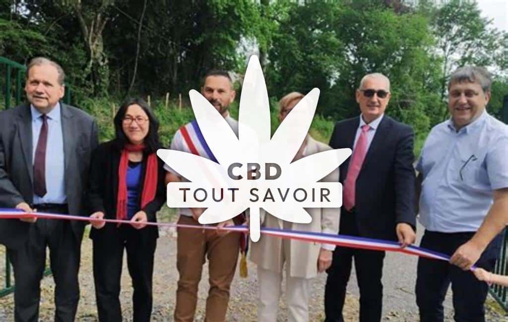 Village à Autevielle-Saint-Martin-Bideren avec feuille Cannabis CBD