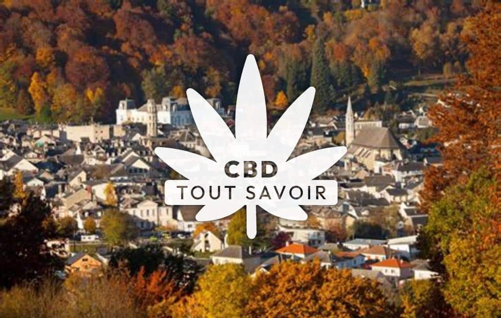 Village à Aurensan avec feuille Cannabis CBD