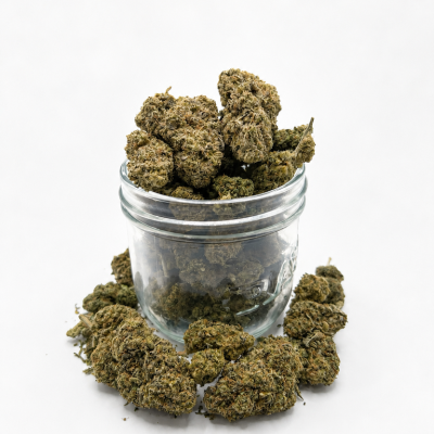 Critical - Fleurs CBD Indoor<b>14% CBD</b>