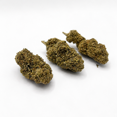 Trois fleurs CBD Critical Premium Indoor sur fond blanc