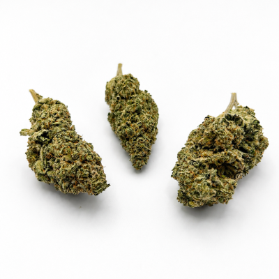 Trois fleurs CBD Malabar Premium Indoor sur fond blanc