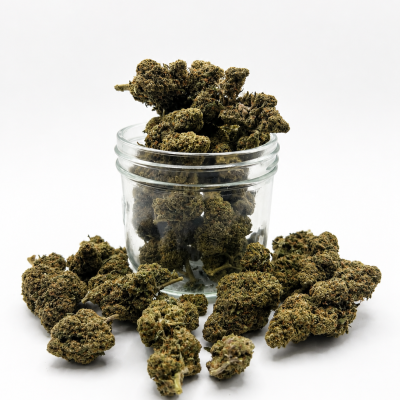 Mimosa - Fleurs CBD