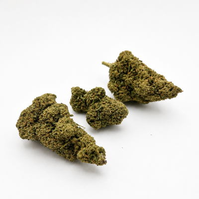 Quatre fleurs Mimosa Indoor CBD sur fond blanc