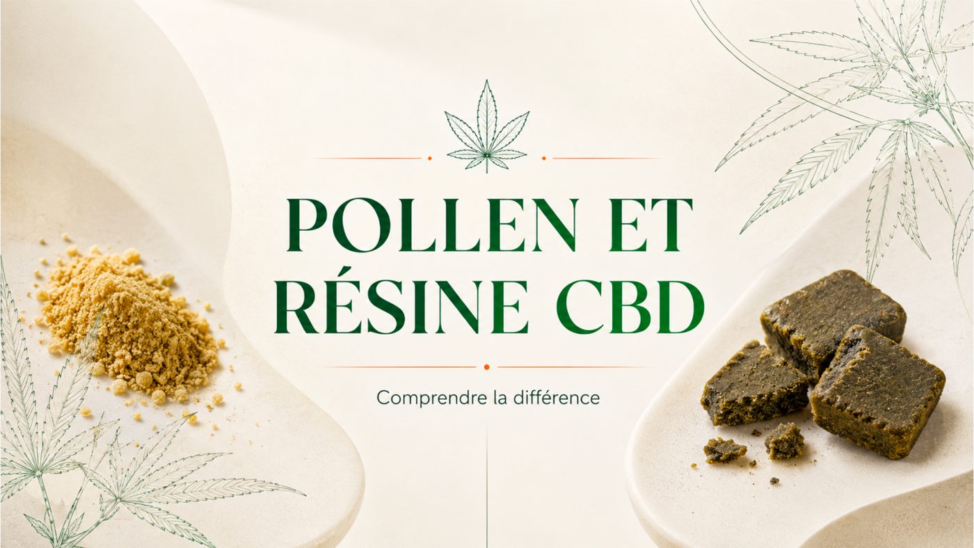 Difference pollen et resine de CBD - Article de blog Human CBD