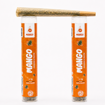 Pré-roll Mango CBD avec deux étuis orange