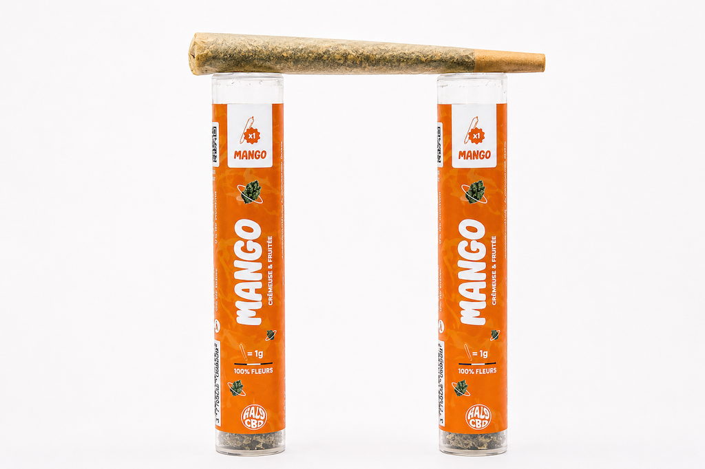 Pré-roll Mango CBD avec deux étuis orange