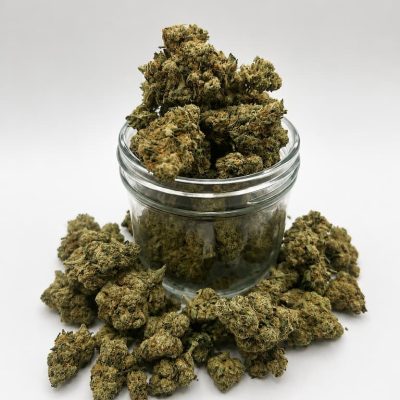 Ensemble de fleurs Amnesia Haze CBD sur fond blanc