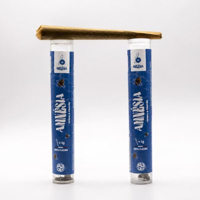 Pré-roll Amnesia CBD avec deux étuis bleus