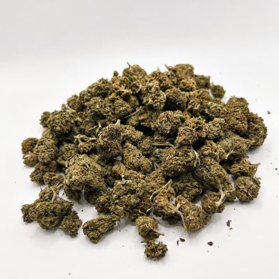 Ensemble de fleurs Bubblegum CBD sur fond blanc