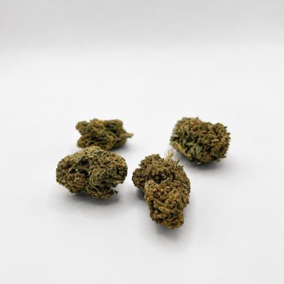Quatre fleurs Bubblegum CBD sur fond blanc