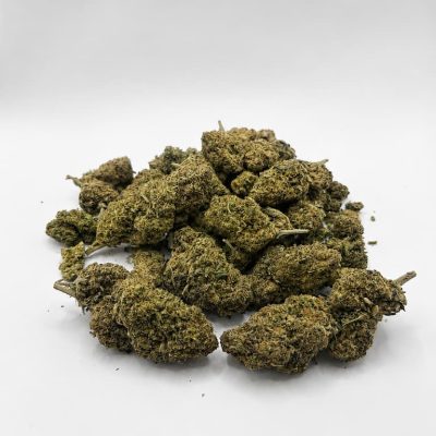 Ensemble de fleurs CBD Critical Indoor en grand format sur fond blanc