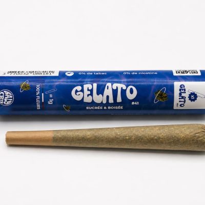 Pré-roll Gelato CBD accompagné de son étui bleu