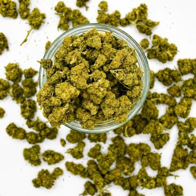 Jack Herer CBD pas cher, fleur CBD premium aux arômes intenses et naturels