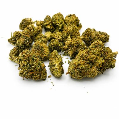 Fleur Mango CBD Puissant aux têtes compactes et résineuses