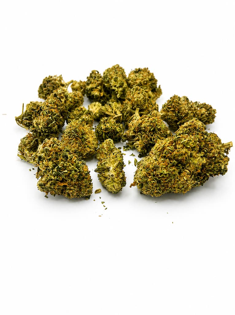 Fleur Mango CBD Puissant aux têtes compactes et résineuses