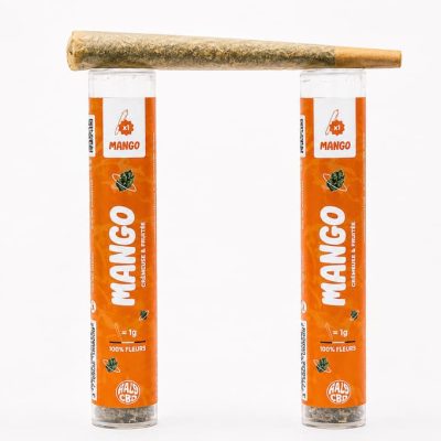 Pré-roll Mango CBD avec deux étuis orange