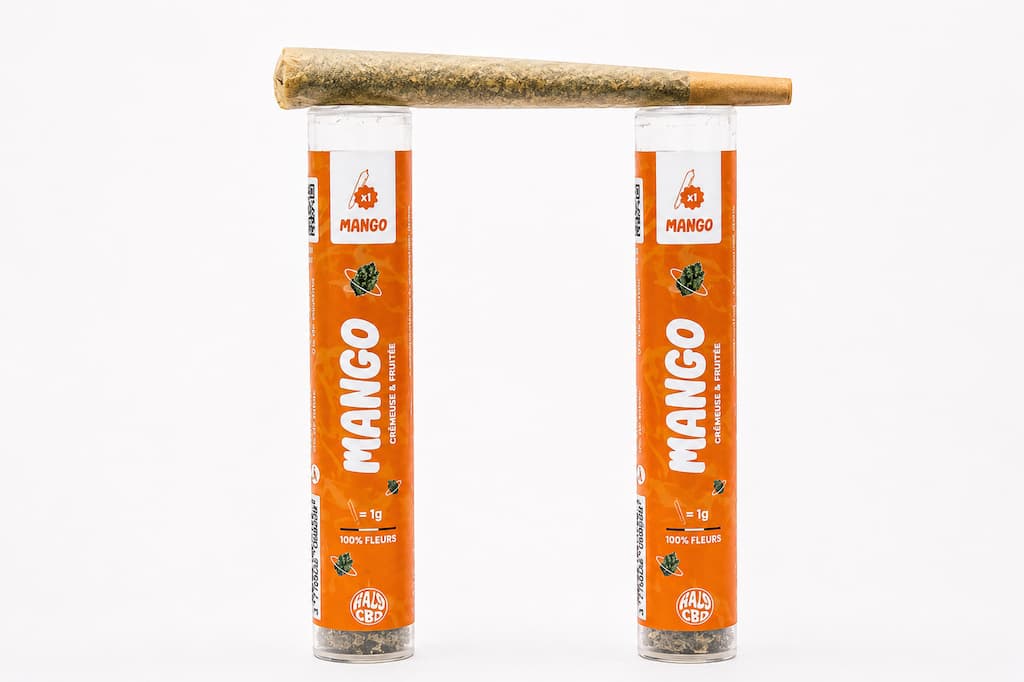 Pré-roll Mango CBD avec deux étuis orange