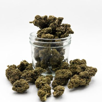 Ensemble de fleurs Snow Flake Indoor CBD de différentes tailles