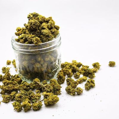 Alternative view of Titan kush - Mini Bud CBD