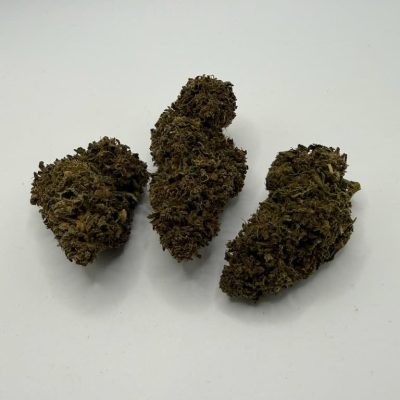 Fleurs de CBD Strawberry Tsunami du Berry présentées dans un bocal