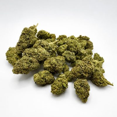 Fleurs CBD Premium Plutonium en grand format sur fond blanc