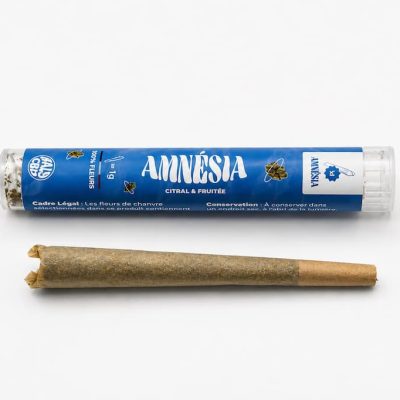 Pré-roll Amnesia CBD accompagné de son étui bleu