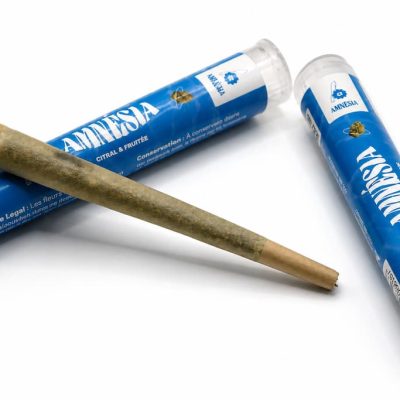 Pré-roll Amnesia CBD avec deux étuis bleus