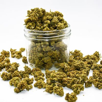 Small Bud Jack Herer CBD, petites fleurs CBD aux arômes intenses et naturels
