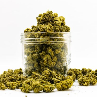 Titan kush - Mini Bud CBD – Image 3