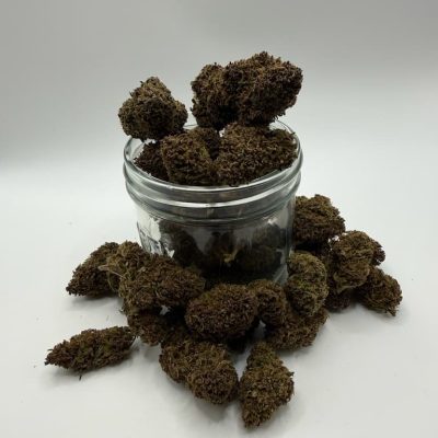 Gros plan sur trois fleurs de CBD Strawberry Tsunami du Berry