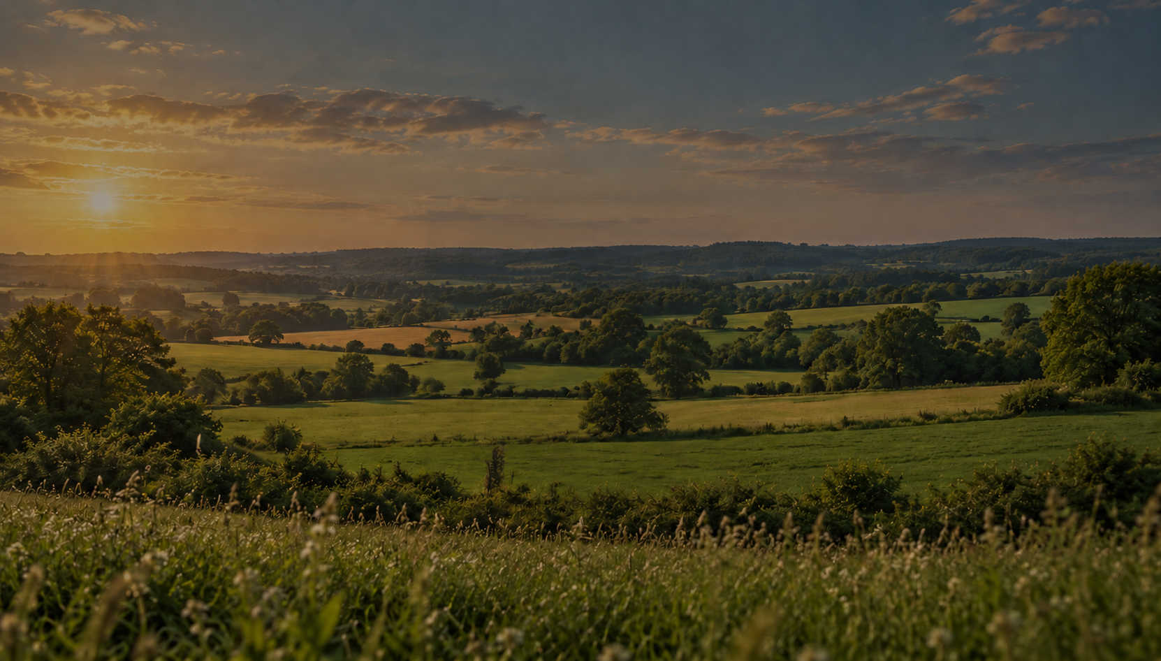 Paysage vallonné sous un ciel voilé